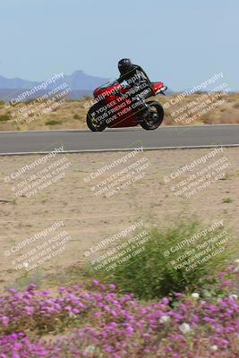 media/Mar-12-2023-SoCal Trackdays (Sun) [[d4c8249724]]/Turn 15 Inside Bloom (130pm)/